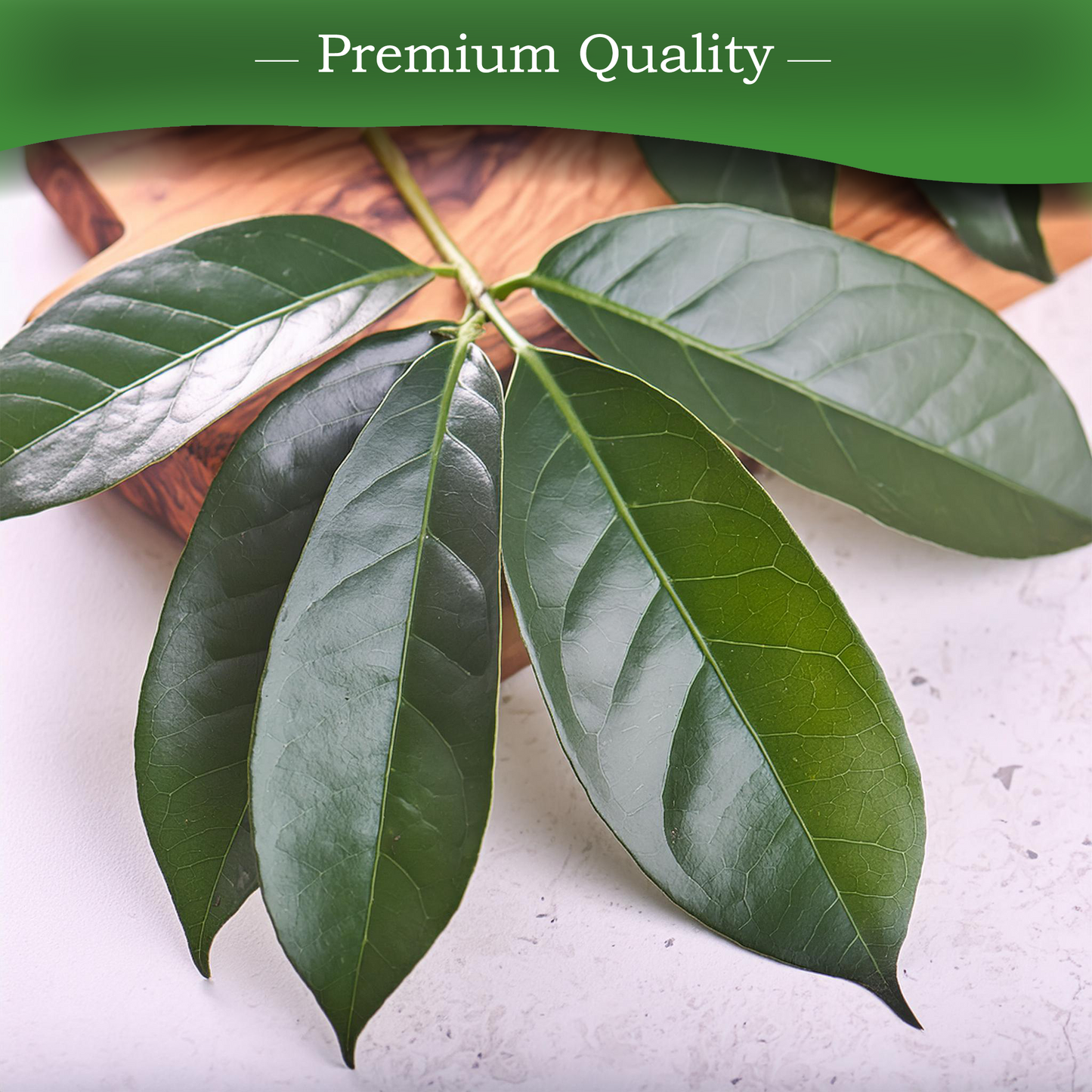 Organic Soursop Leaves 60 g Graviola (200 Leaves) Guanabana Tea Guyabano